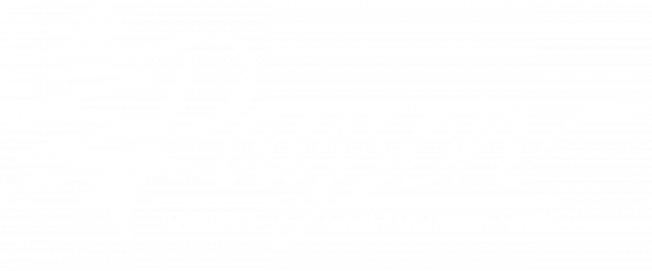 Payson Logo White